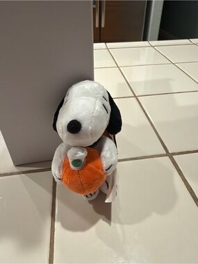 Starbucks X peanuts snoopy keychain